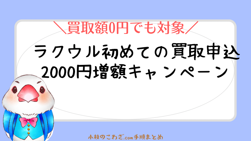 終了】ラクウルで不用品の買取！初めての利用で2000円増額キャンペーン | 小枝のこわざ