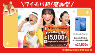 【ワイモバイル 10周年大感謝祭】最大26,000円相当のPayPayポイント！SIMのみ他社から乗り換えで1.5万円相当+紹介キャンペーン最大5000円相当+新どこでももらえる特典最大6000円相当 