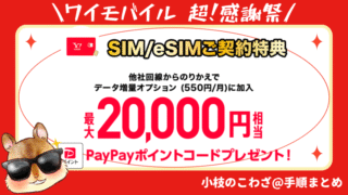 【ワイモバイル 超！感謝祭】最大31,000円相当！SIMのみ乗り換えで2万円相当+紹介キャンペーン最大5000円相当+新どこでももらえる特典6000円相当 