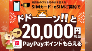 【ワイモバイル 超！感謝祭】最大31,000円相当！SIMのみ乗り換えで2万円相当+紹介キャンペーン最大5000円相当+新どこでももらえる特典6000円相当 