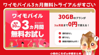 これはやばい！ワイモバイル30GBプラン3ヵ月間無料お試しキャンペーンスタート！しかも契約中はLYPとNetflixも無料 