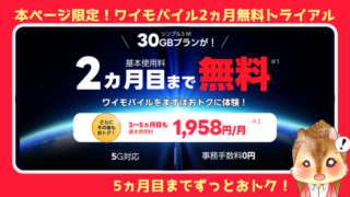 ワイモバイルが最大2ヵ月無料！シンプル3M(30GB)プランがeSIM/SIM契約で対象！しかも事務手数料も無料！3-5ヵ月目も特別値引きで月額1,958円で使える 