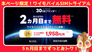 ワイモバイルが最大2ヶ月無料！シンプル3M(30GB)プランがeSIM/SIM契約で対象！しかも事務手数料も無料！3-5ヵ月目も特別値引きで月額1,958円で使える 