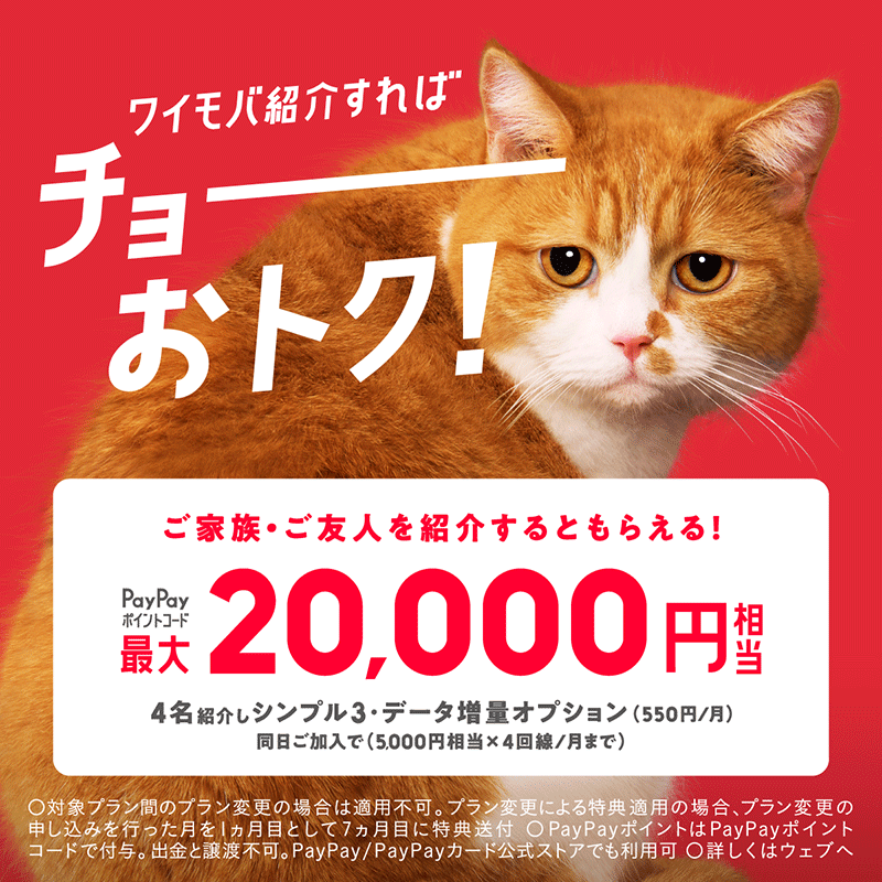 ワイモバ紹介キャンペーン。5,000円相当×月4回まで、最大20,000円相当。シンプル3とデータ増量オプション同日加入等の条件あり。